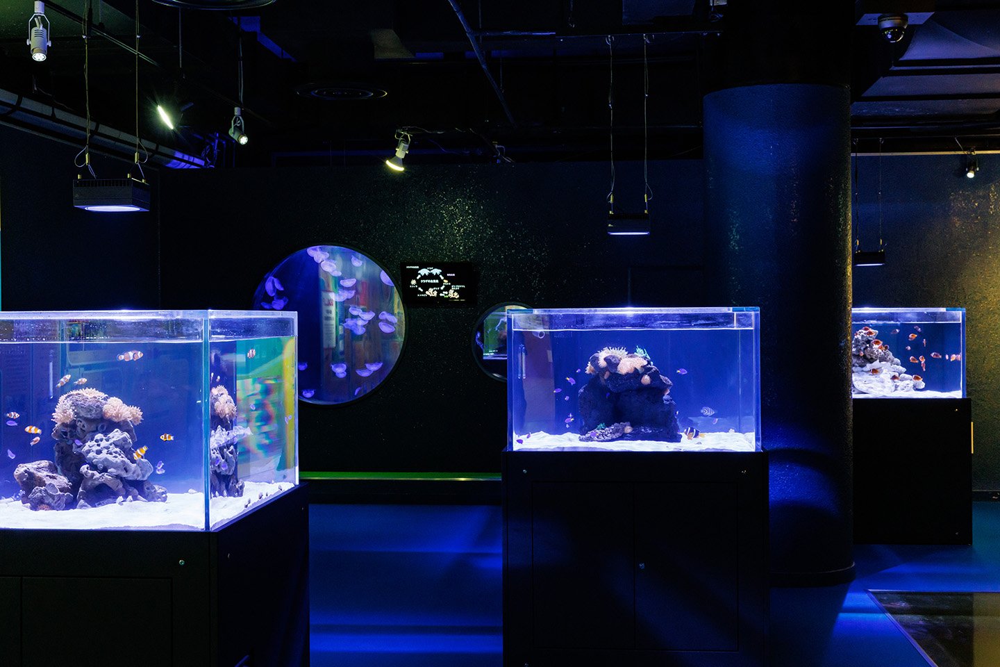 🐠 헤키난 해변 수족관 (헤키난카이힌스이조쿠칸) 이미지 9